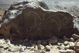 378.jpg 378.jpg