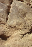 379.jpg 379.jpg