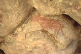 381.jpg 381.jpg